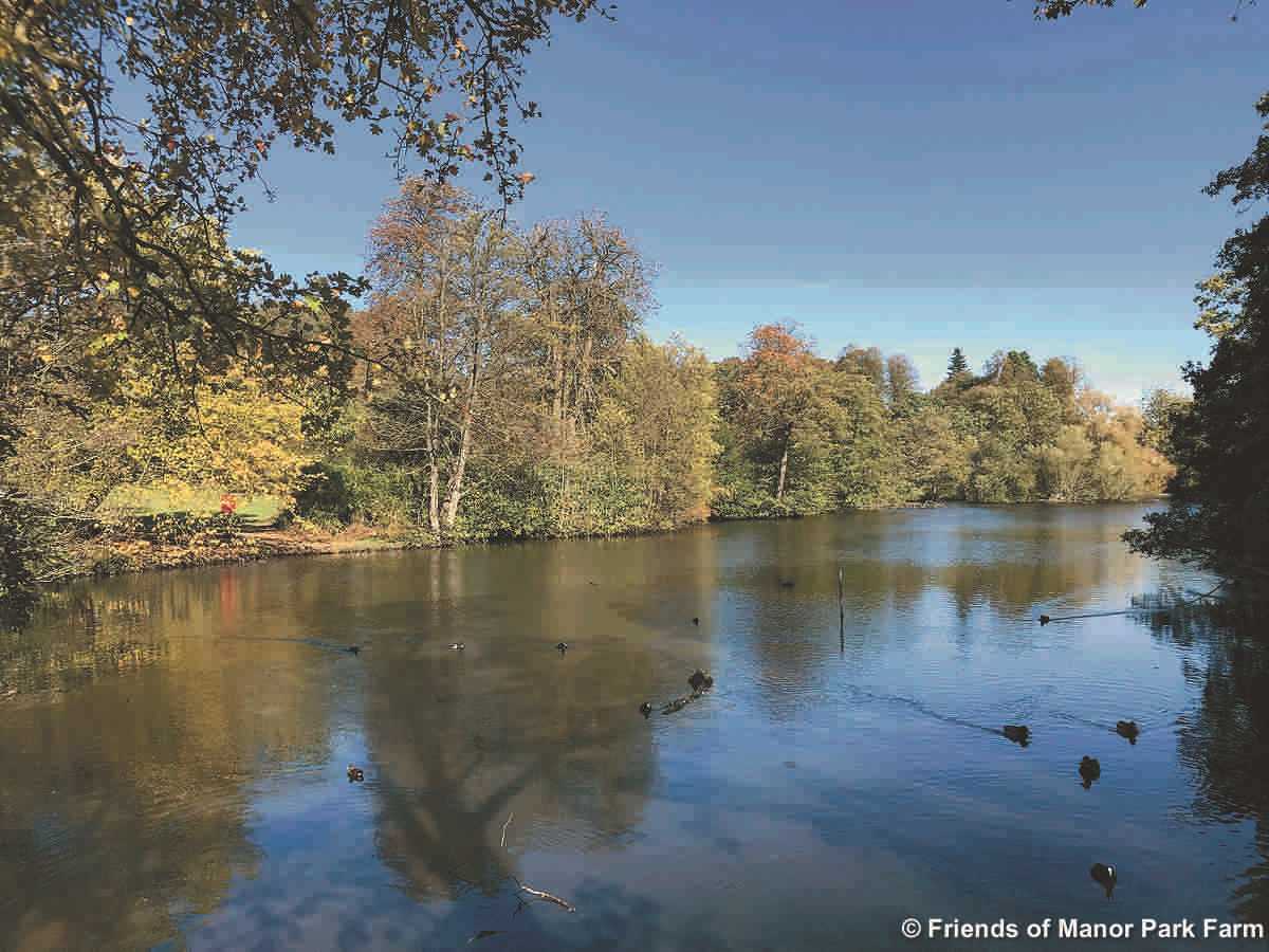 Manor Farm Park - the Fishpond